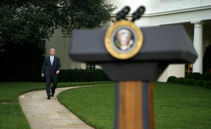 Bush menguante.jpg