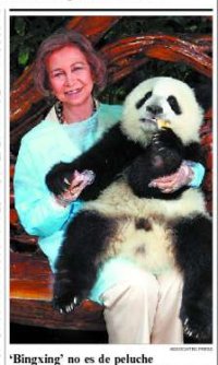 ¿Te alegras de verme o es que llevas puesto un panda?